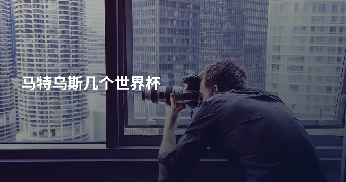 马特乌斯几个世界杯