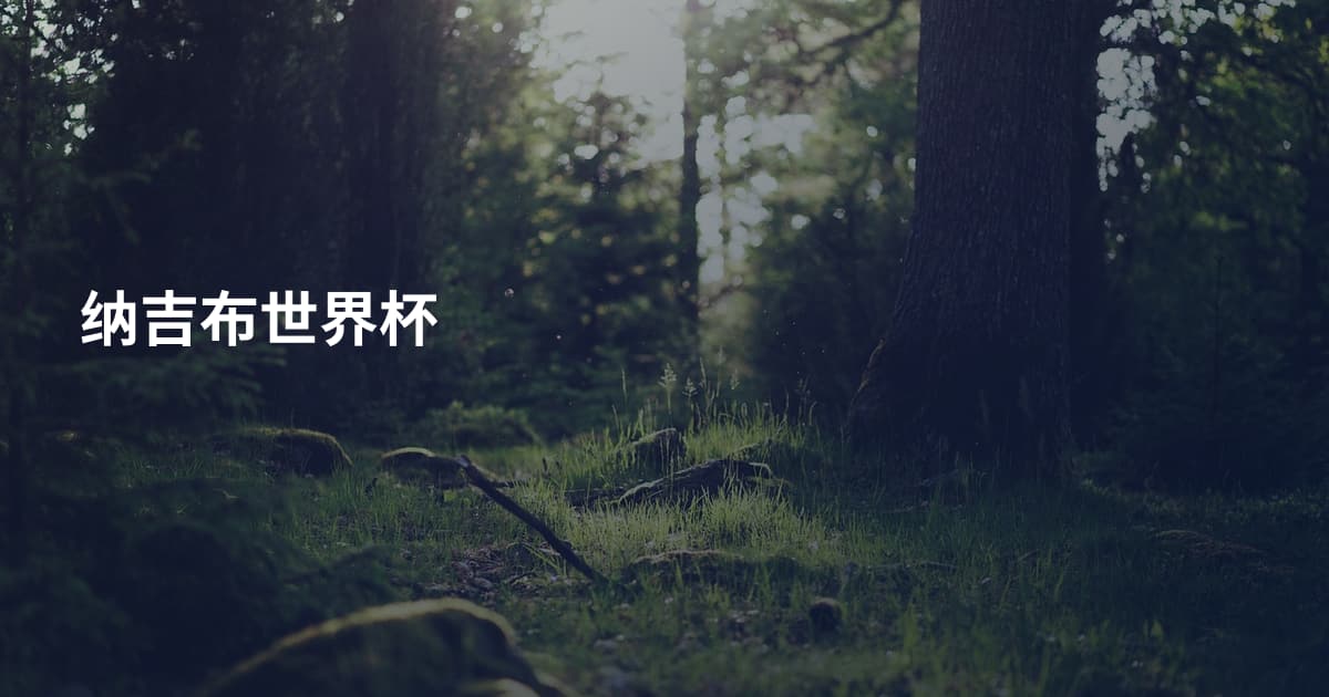 纳吉布世界杯