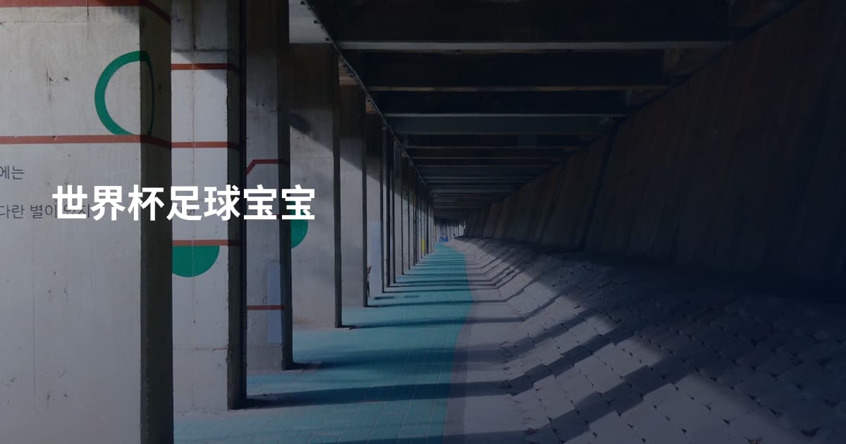 世界杯足球宝宝