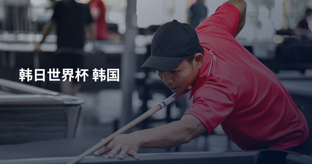 韩日世界杯 韩国