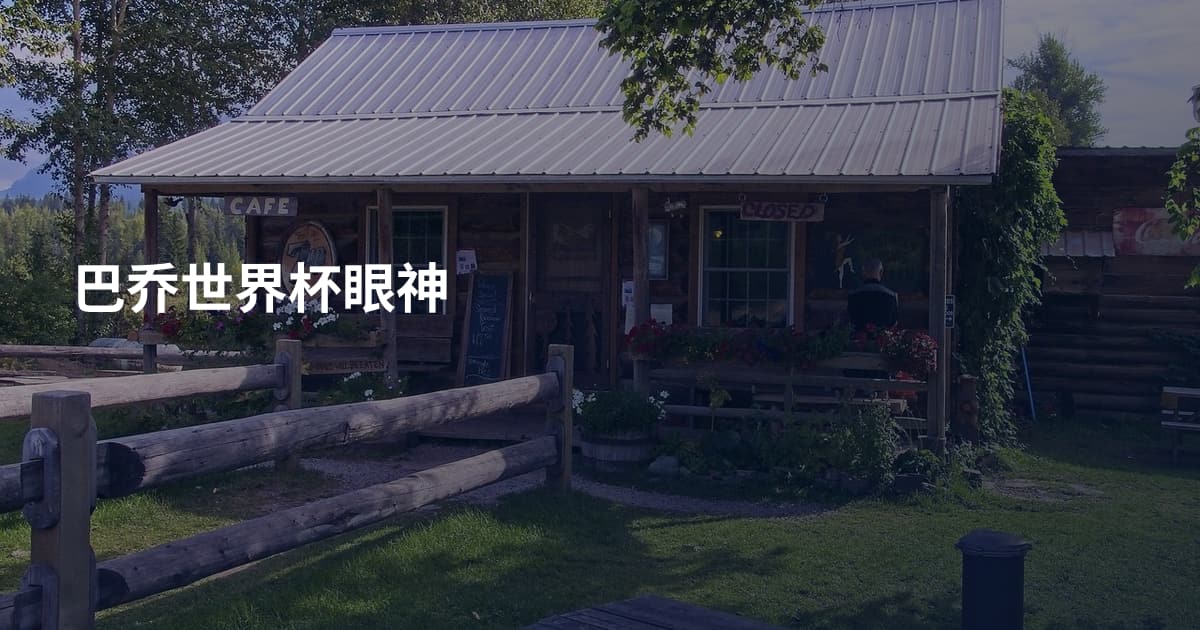 巴乔世界杯眼神