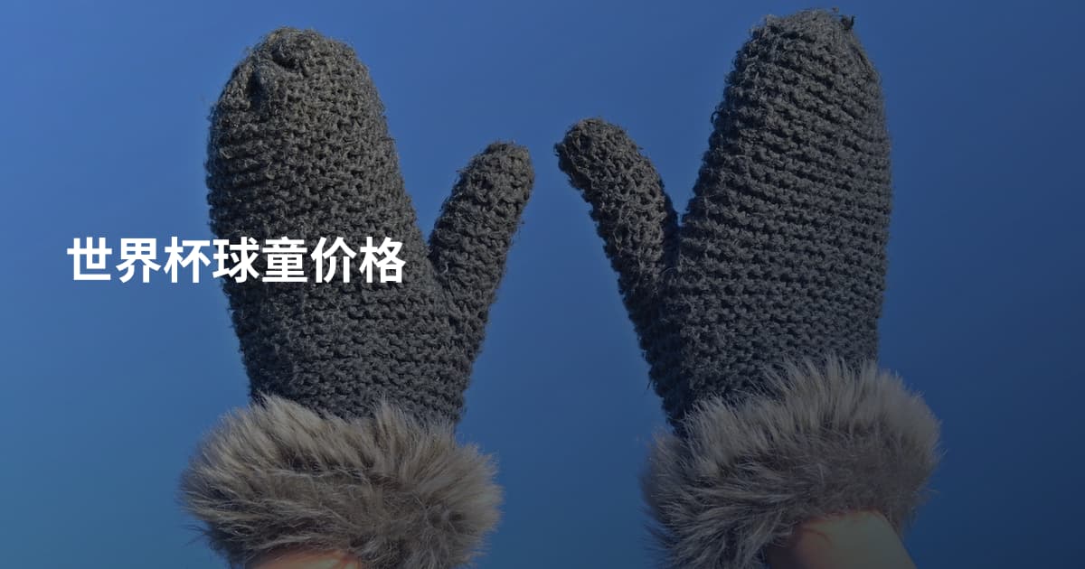 世界杯球童价格