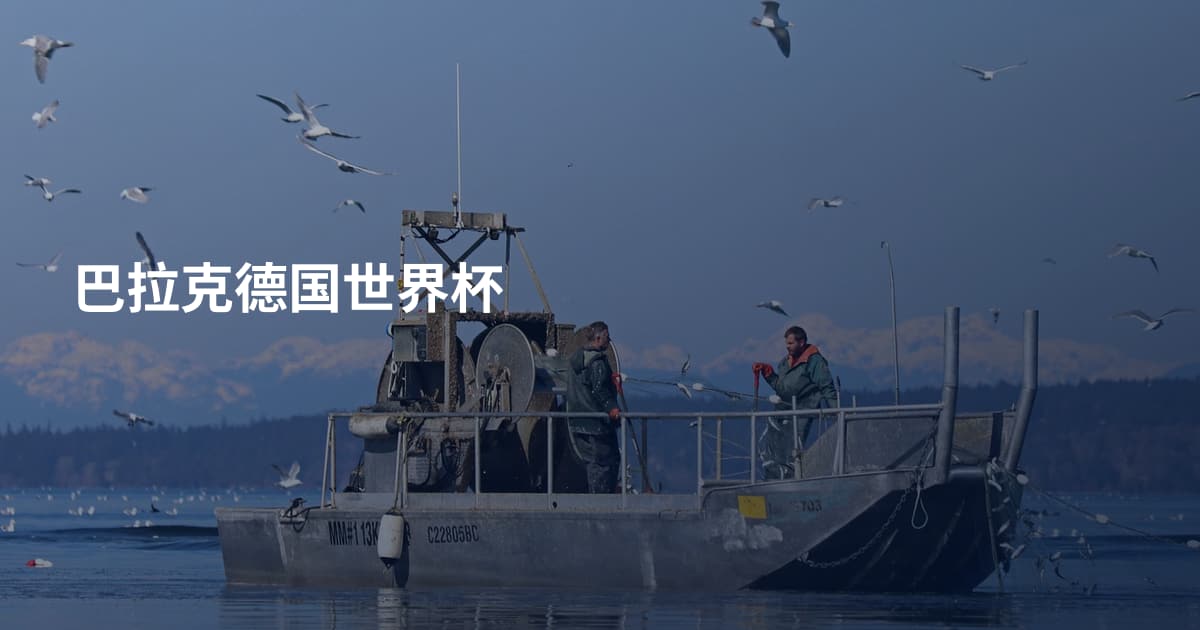 巴拉克德国世界杯