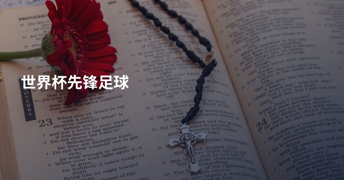 世界杯先锋足球