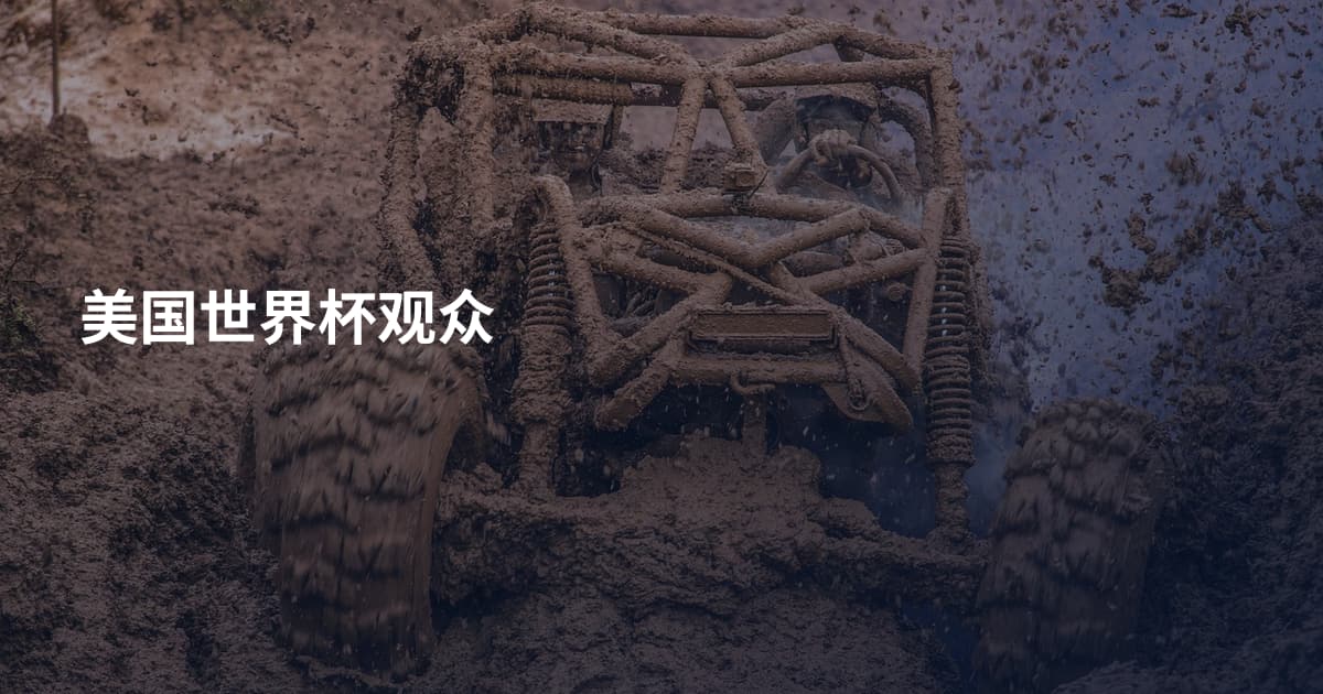 美国世界杯观众