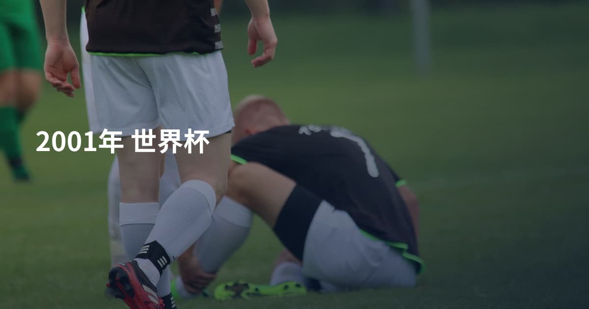 2001年 世界杯