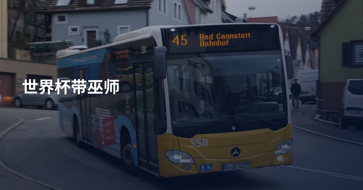 世界杯带巫师