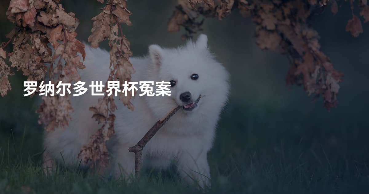 罗纳尔多世界杯冤案