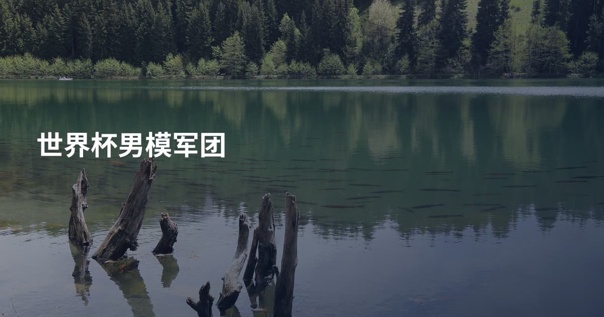 世界杯男模军团