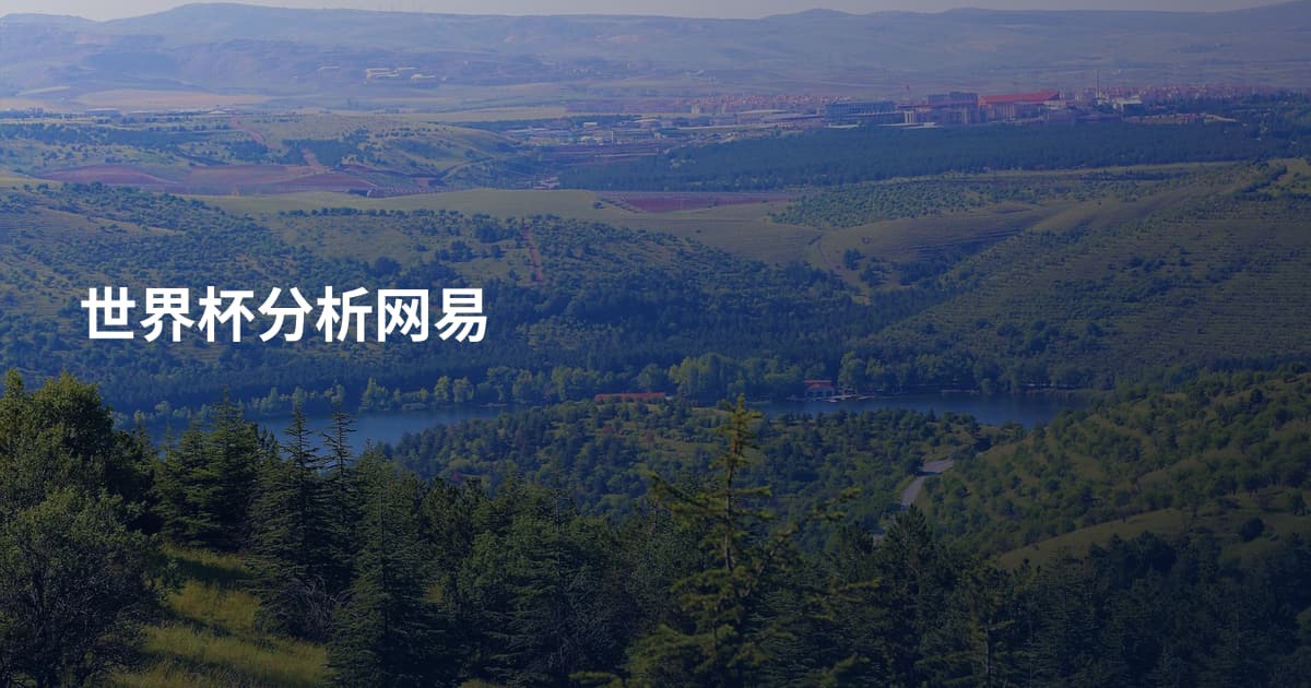 世界杯分析网易