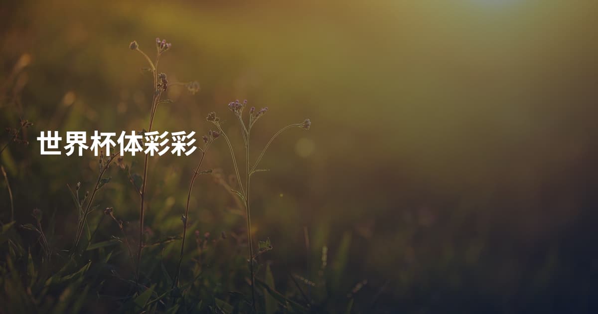世界杯体彩彩