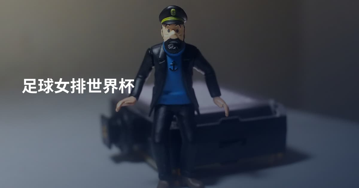 足球女排世界杯