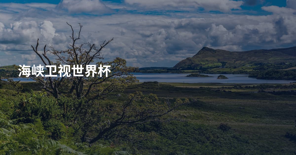 海峡卫视世界杯