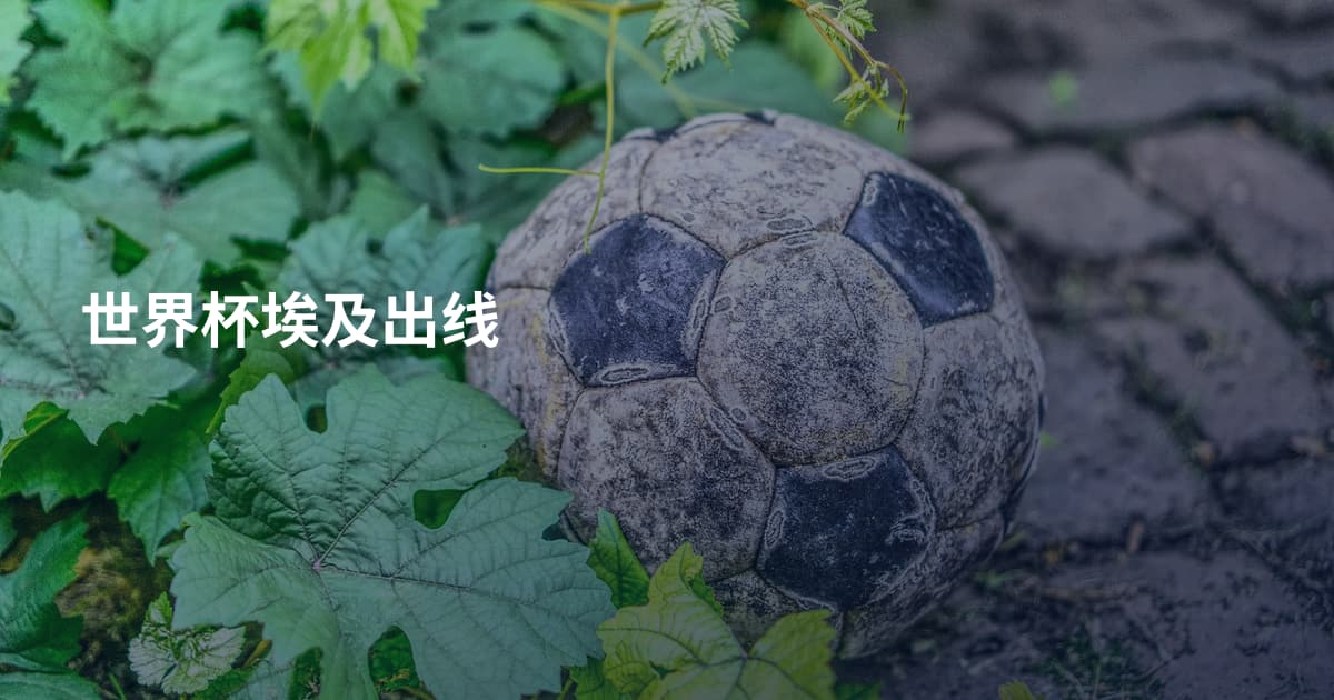 世界杯埃及出线