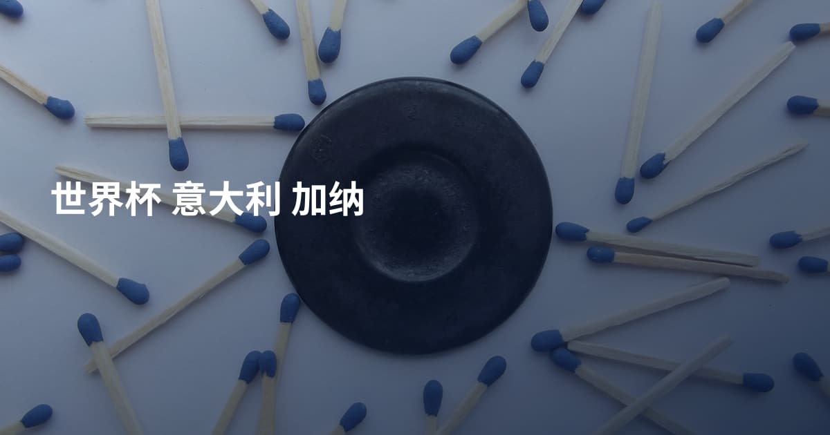 世界杯 意大利 加纳