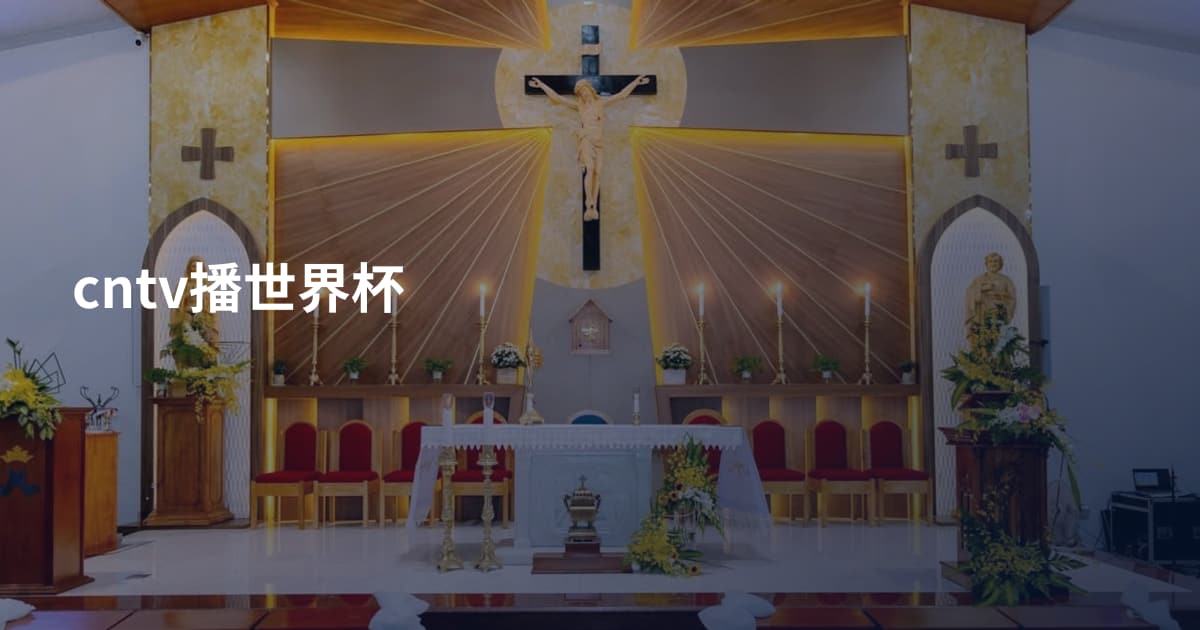 cntv播世界杯