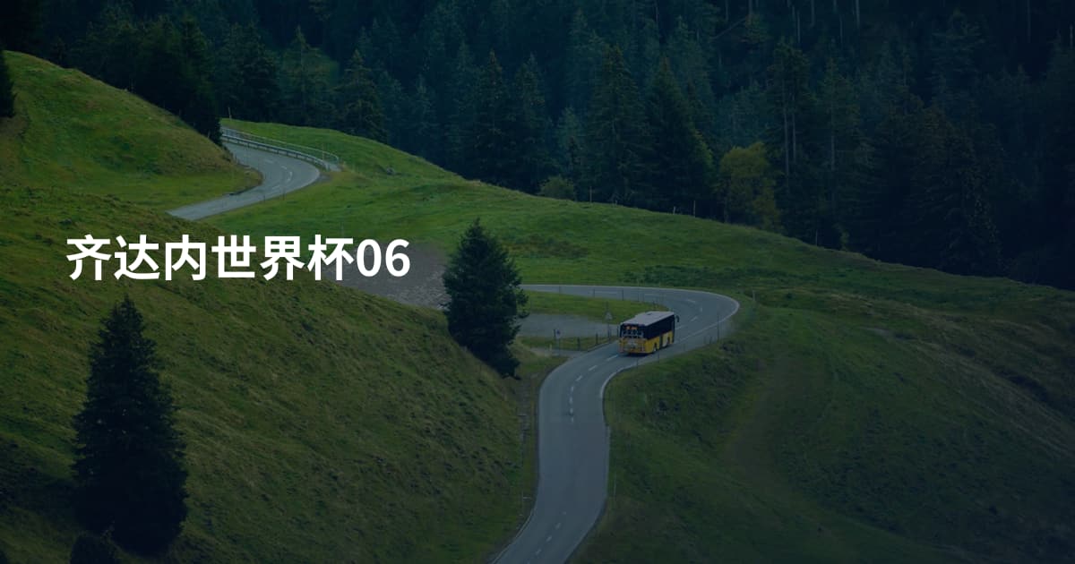 齐达内世界杯06
