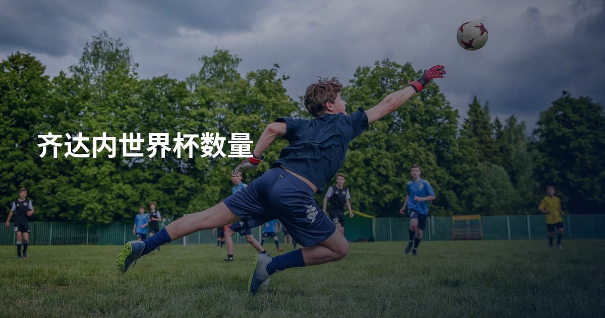 齐达内世界杯数量