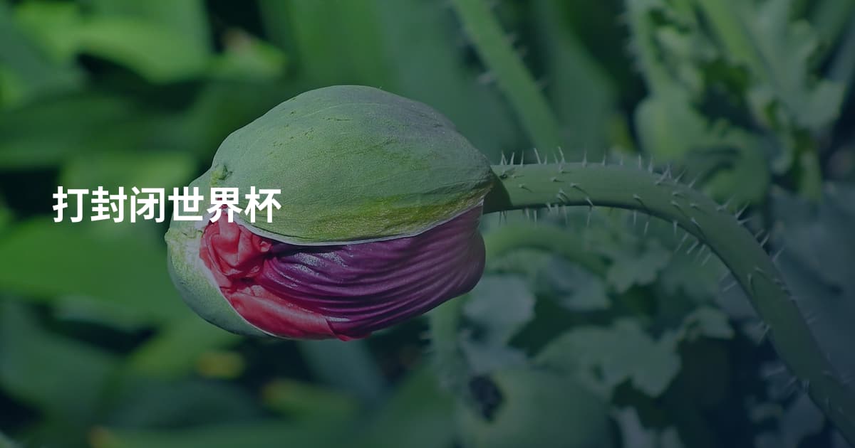 打封闭世界杯