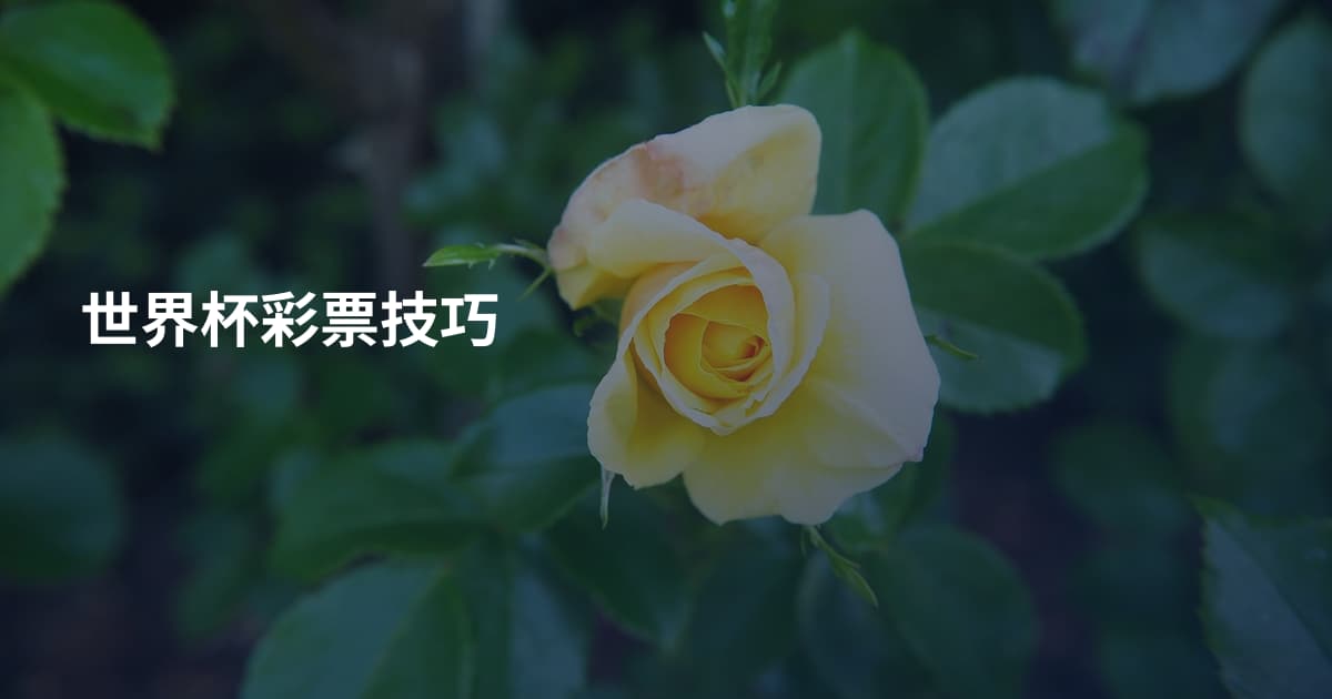 世界杯彩票技巧