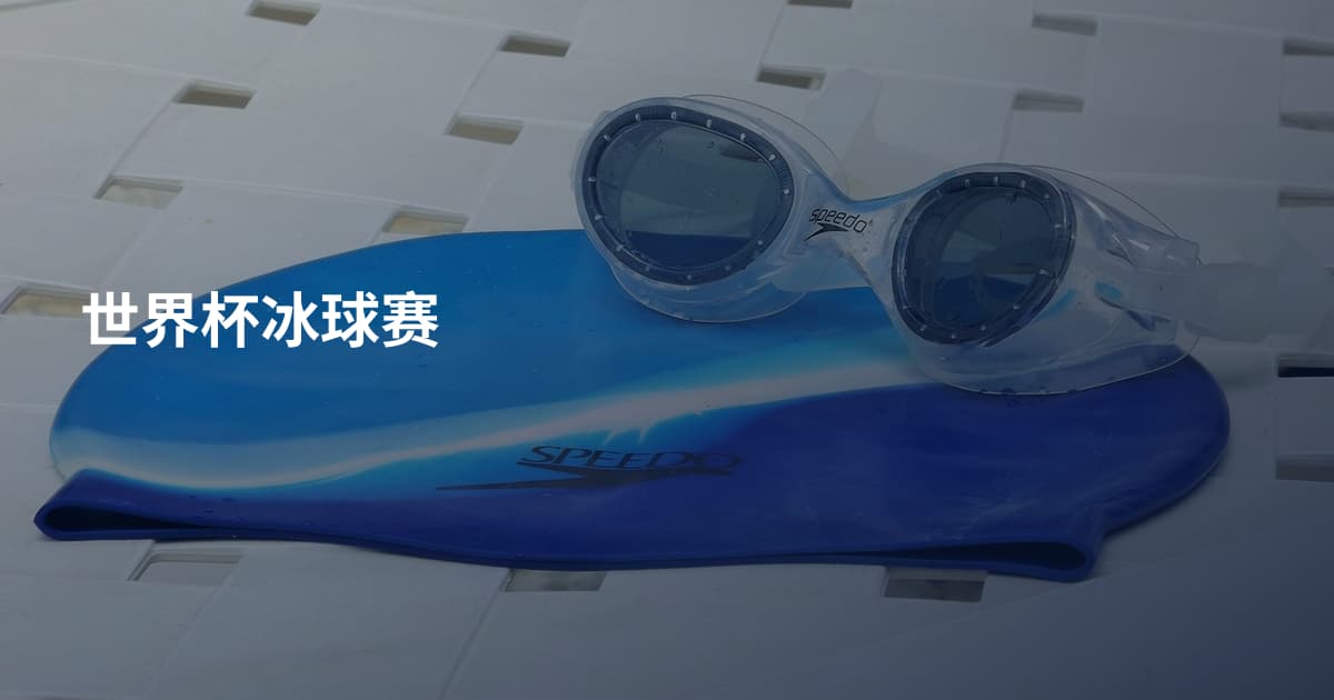 世界杯冰球赛