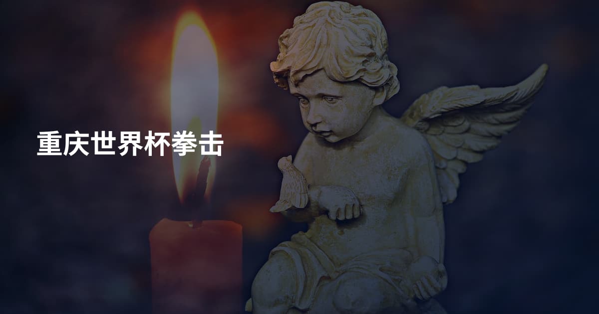 重庆世界杯拳击