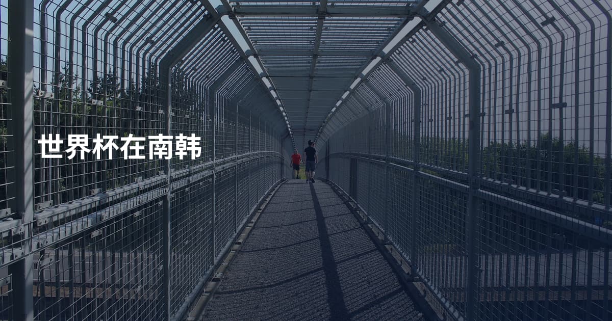 世界杯在南韩