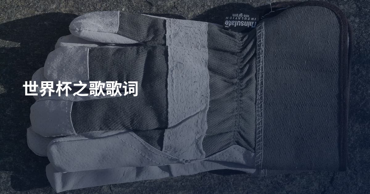 世界杯之歌歌词
