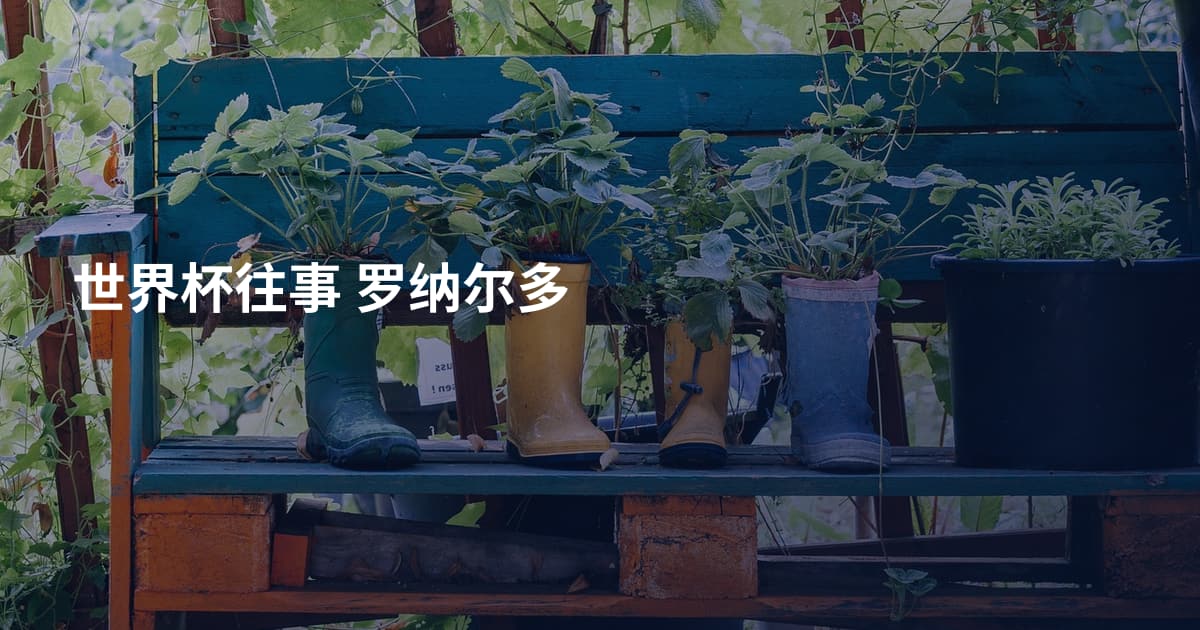 世界杯往事 罗纳尔多