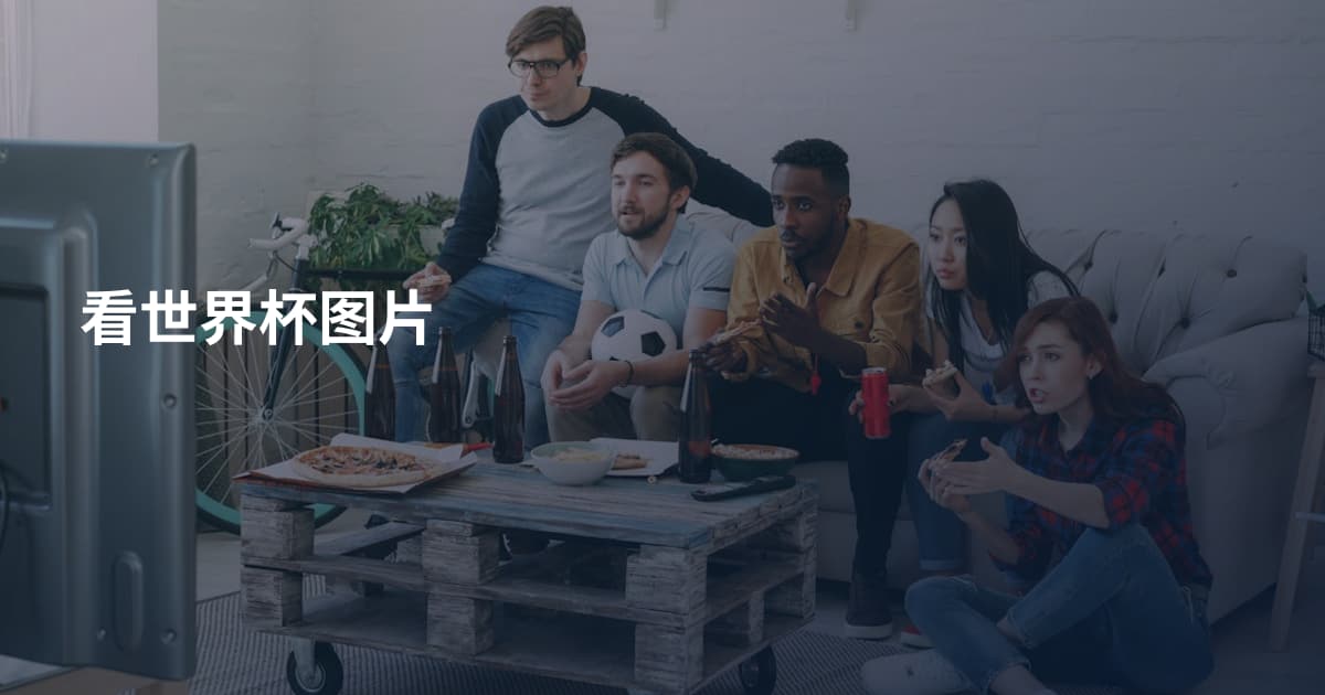 看世界杯图片