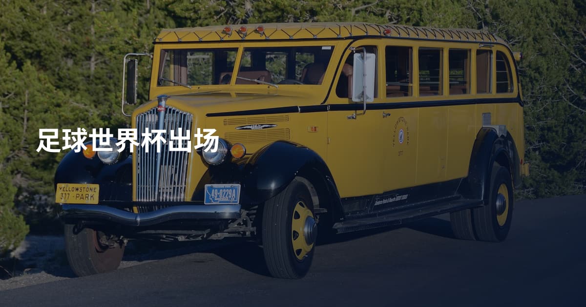 足球世界杯出场