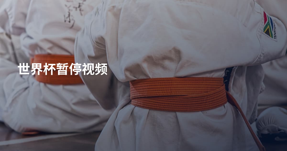 世界杯暂停视频