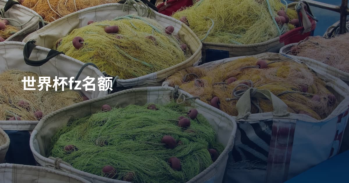 世界杯fz名额