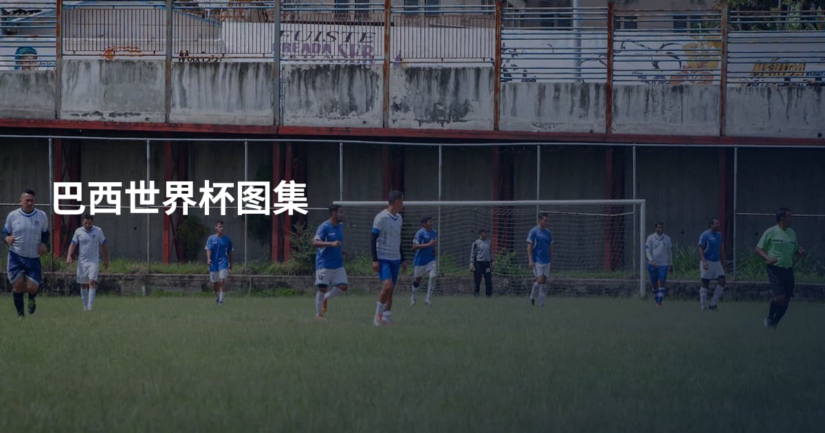 巴西世界杯图集