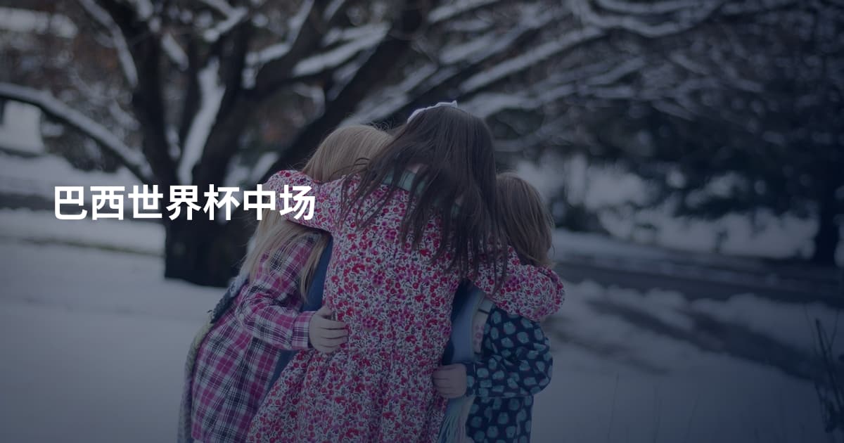 巴西世界杯中场
