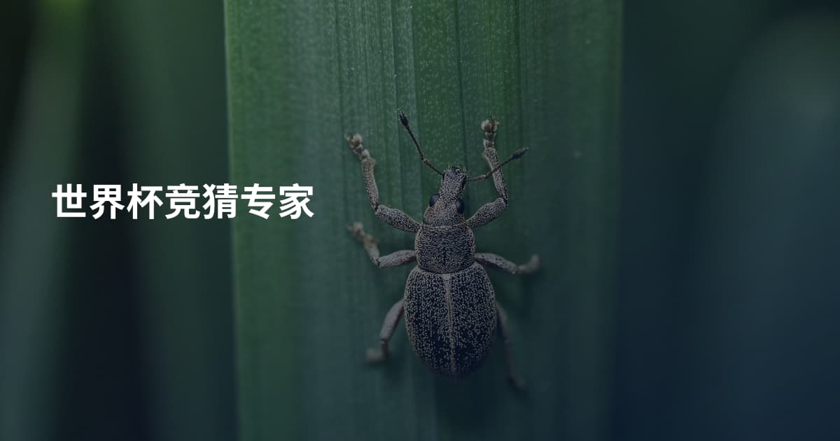 世界杯竞猜专家