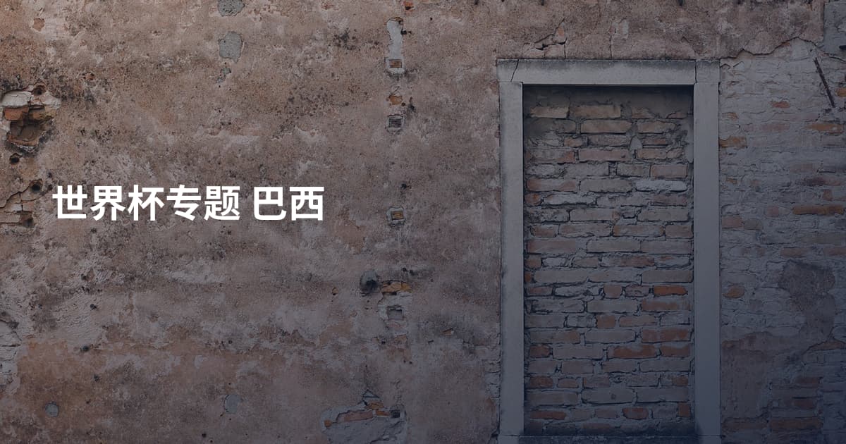 世界杯专题 巴西