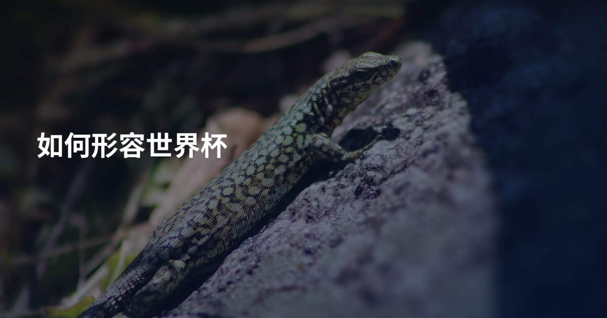 如何形容世界杯