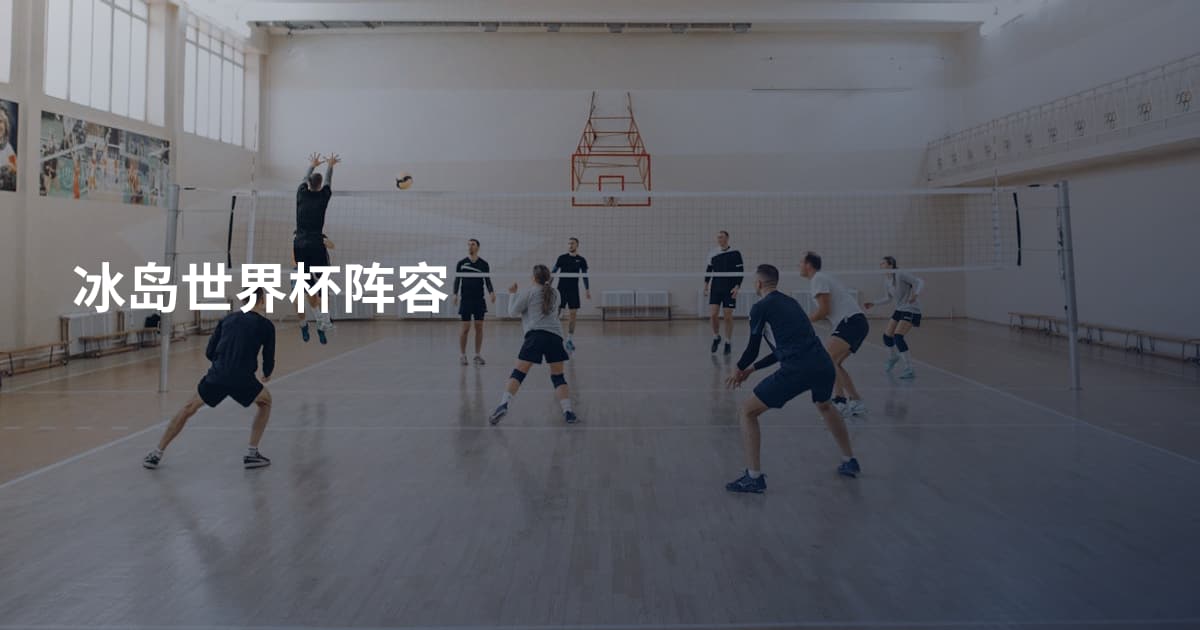 冰岛世界杯阵容