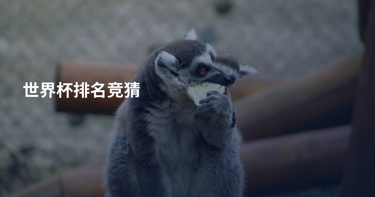 世界杯排名竞猜