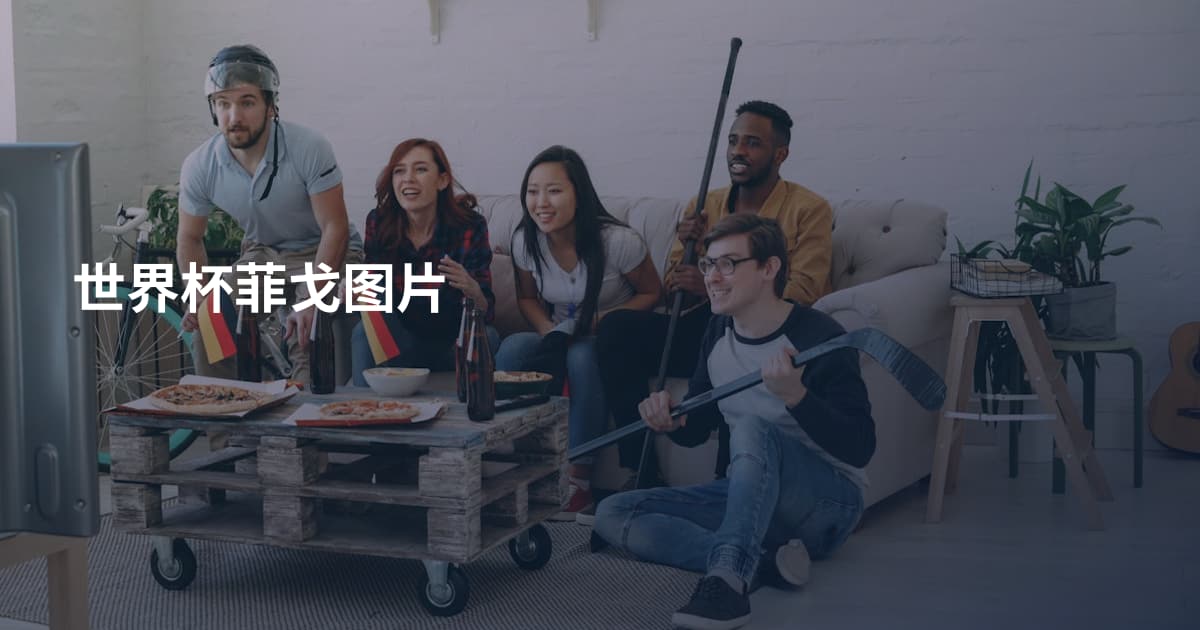 世界杯菲戈图片