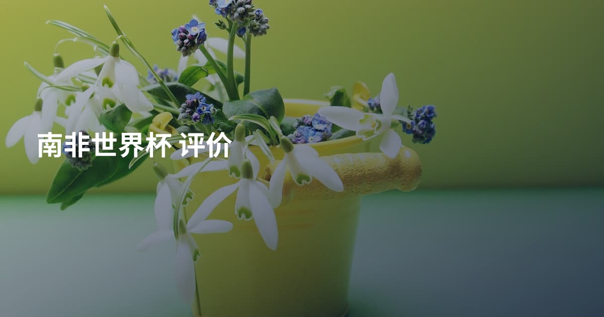 南非世界杯 评价