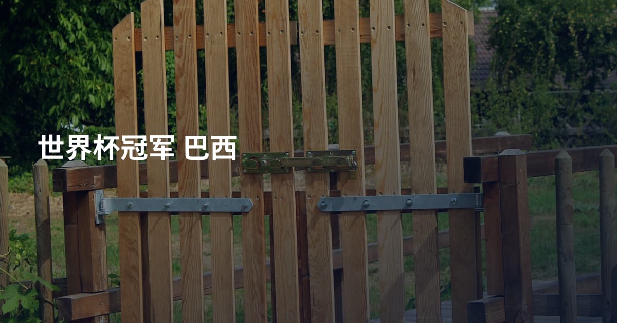 世界杯冠军 巴西