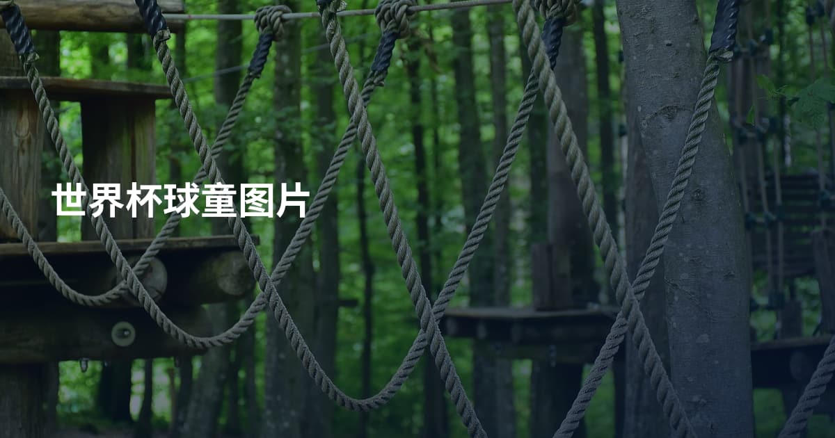 世界杯球童图片