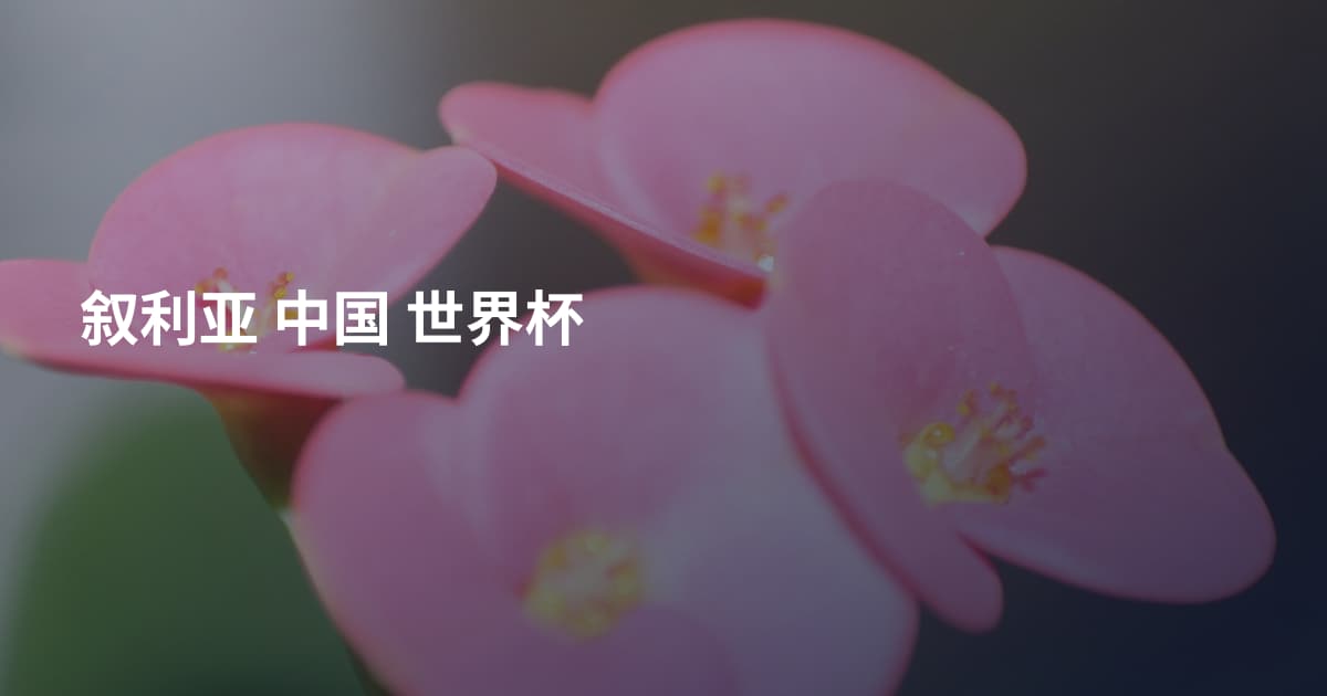 叙利亚 中国 世界杯