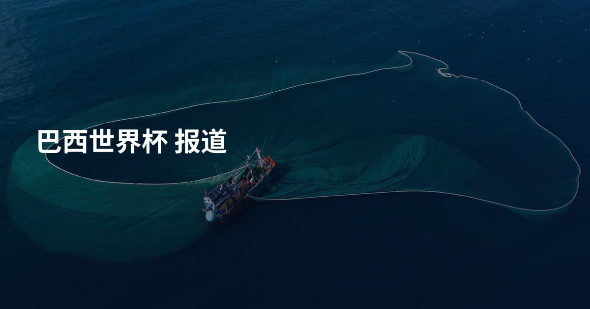 巴西世界杯 报道