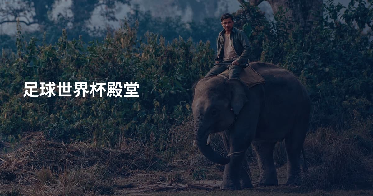 足球世界杯殿堂