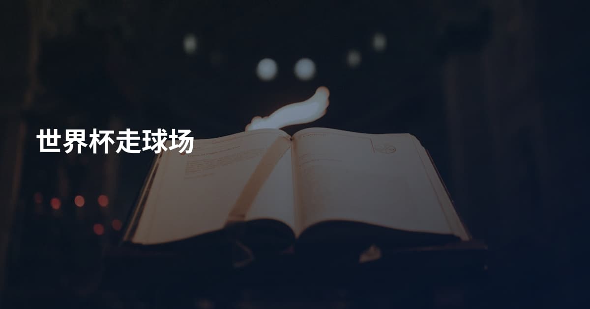 世界杯走球场