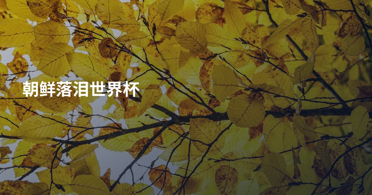朝鲜落泪世界杯