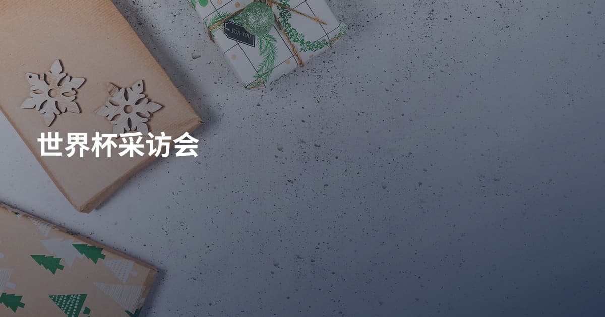 世界杯采访会